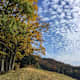 Bunte Wanderungen für den Herbst