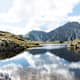 Der Essersee im Naturpark Riedingtal – Wanderungen, Infos & Tipps