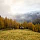 Weite Almen in goldenem Glanz: Herbstleuchten in der Dolomiten Panoramaregion Gsiesertal