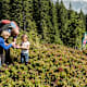 Kinderwandern in Schladming