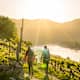 Wanderregion Wachau: 5 unvergessliche Erlebnisse im Frühling