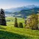 Appenzeller Alpenweg: Die Schweizer Floraroute