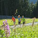 Nordic Walking-Tour ins Naturschutzgebiet Gontal