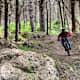 Downhill Kalabrien: Alisea