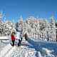 Naturpark Hohe Wand - Schneebergblick Runde