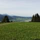 Alpenpanoramaweg Einsiedeln-Unterägeri