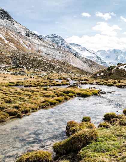 Ortler-Alpen