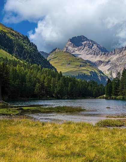 Albula Alpen
