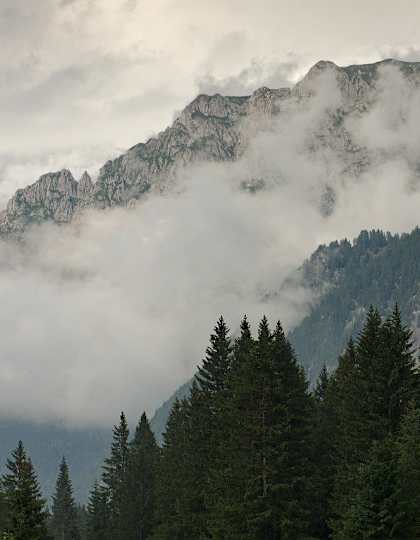 Brentagruppe