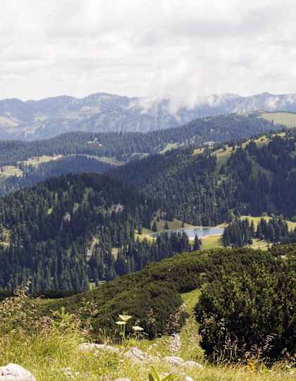 Ybbstaler Alpen
