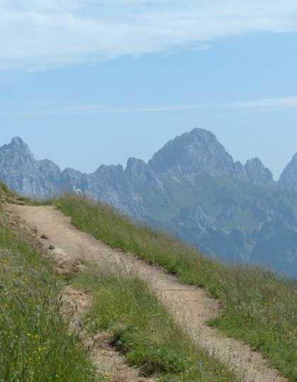 Karnischer Hauptkamm