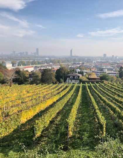 Wien