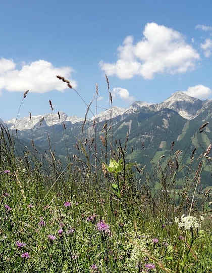 Oberösterreich
