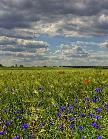 Brandenburg