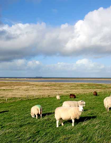 Schleswig-Holstein