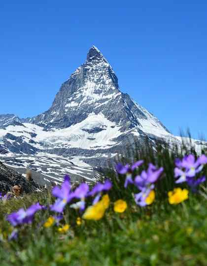 Wallis