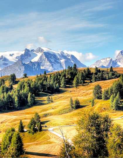 Trentino