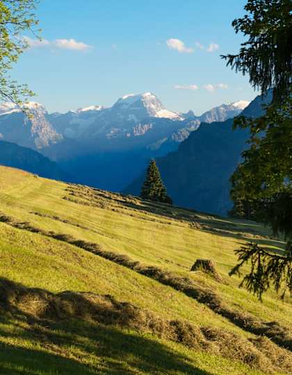 Glarner Alpen