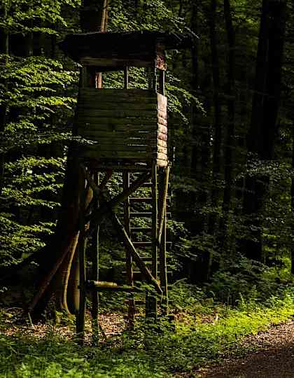 Estergebirge