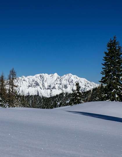 Rottenmanner und Wölzer Tauern