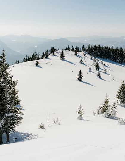 Randgebirge östlich der Mur