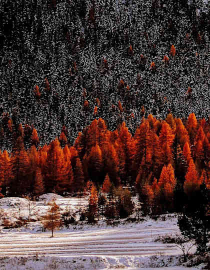 Sobretta-Gavia-Gruppe