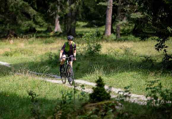 Radweste