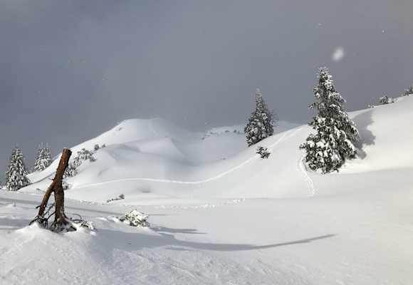 Winterlandschaft in Tirol: Tierspuren im Schnee