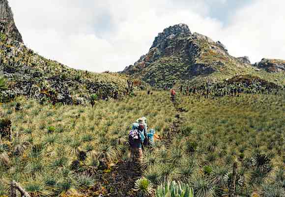Auf dem Weg zum Gipfel des Regenmachers, dem Ruwenzori.