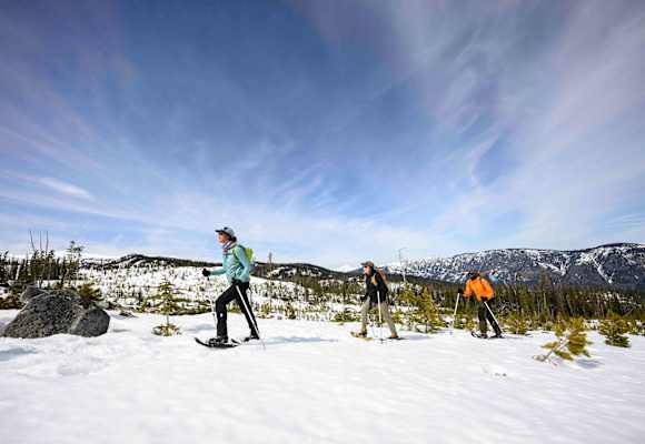 Auf Schneeschuhen durch die hügelige Winterlandschaft des Tölzer Landes