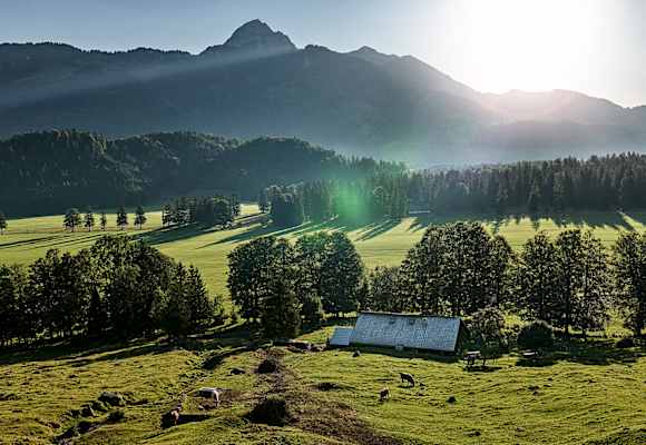 Die bayerischen Bergbauern sorgen seit Jahrzehnten für die Bewirtschaftung der Landschaft.
