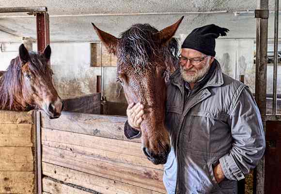 In den Wintermonaten genießen die Pferde im Stall die Zuwendung der Bergbauern.