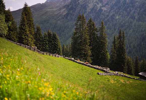 Das Gsiesertal – ein Geheimtipp in Südtirol