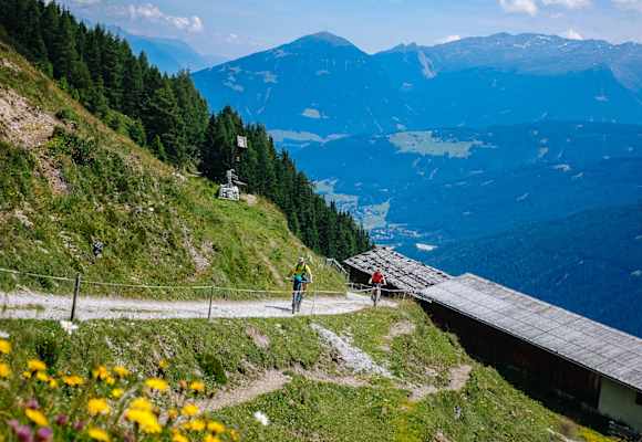Mountainbiken MTB Forststraße