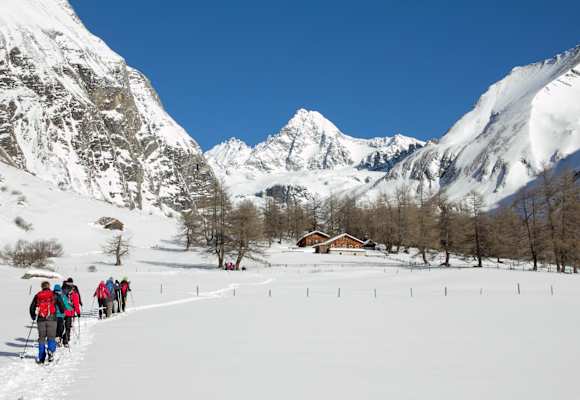 Schneeschuhtour mit einem Nationalpark-Ranger in Kals
