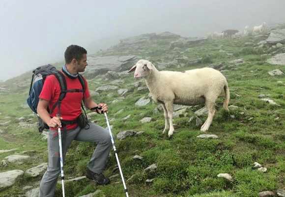 Wandertipp: Alexander Enzinger Weg