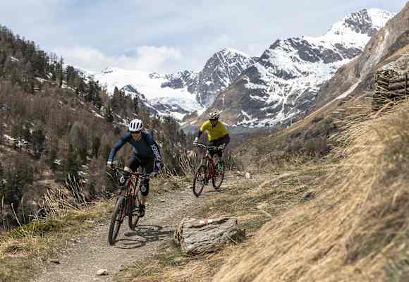 Terrex Zermatt Experience Matterhorn