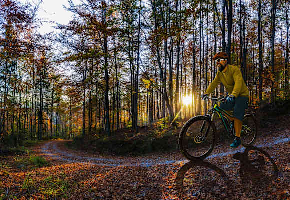 E-Bike