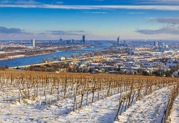 Blick über Wien