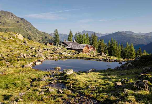 Alpgues im Montafon