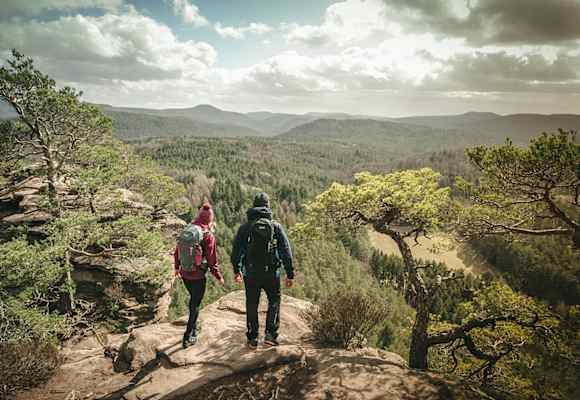 Entdecke deinen Wolftrail vor deiner Haustür.
