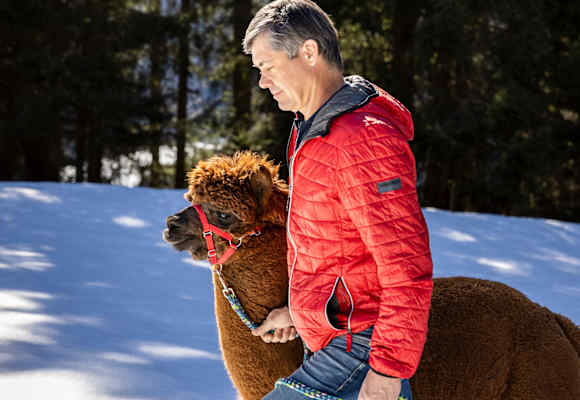 Bernhard lebt mit seinen Alpakas auf einem Bergbauernhof in Wagrain-Kleinarl und spart nicht an der Kritik an der Tourismusentwicklung. 