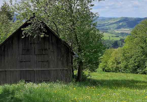 Platz 1: Damberg