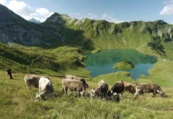 Der Schrecksee mit Alpwirtschaft