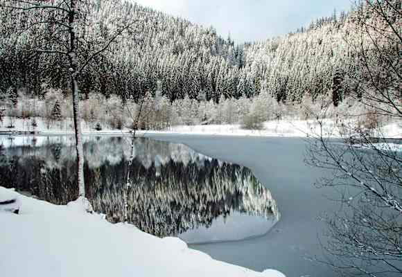 Sankenbachsee in Baiersbronn