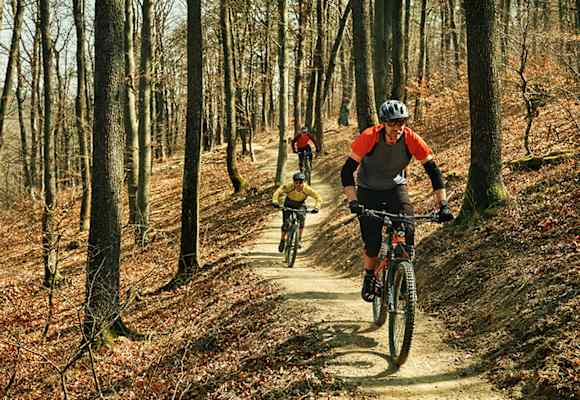 Flow gesucht und gefunden – auf den spaßigen Burgenland-Trails kommt bei Einsteigern und Profis gleichermaßen Freude auf.