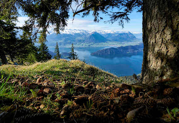Vom Gipfel der Rigi genießt man ein spektakuläres 360 Grad Panorama. Besonders schön ist der Ausblick auf den fjordähnlichen Vierwaldstättersee.