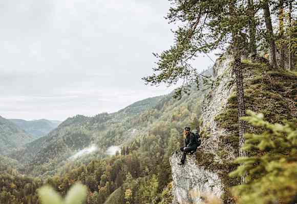Bäume soweit das Auge reicht – der 1.500 Meter hohe Wasserklotz bietet Wanderern eine besonders beeindruckende Aussicht.