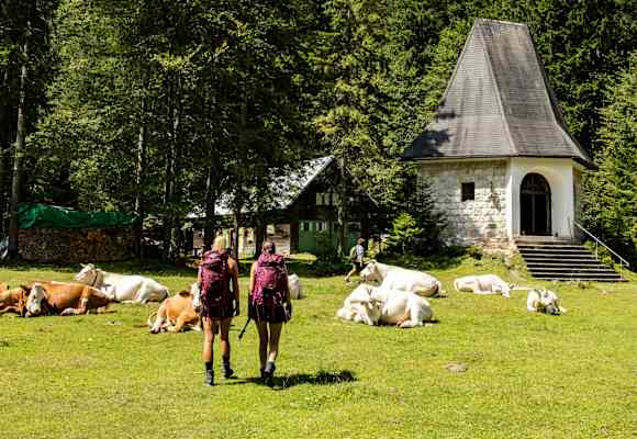 Hofgasteinerhaus
