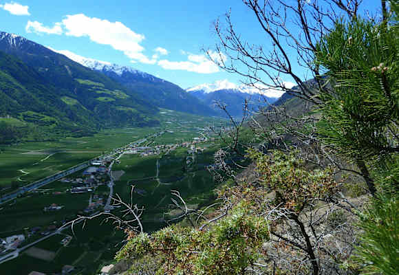 Blick in den Vinschgau
